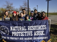 _DSC3993